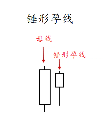 stocks